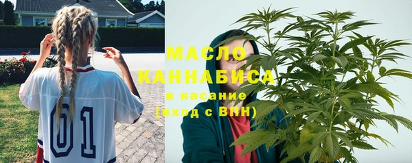 крисы Мегион