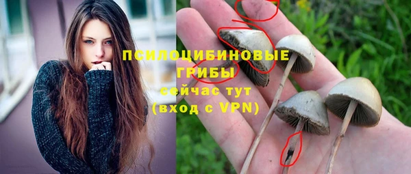прущая мука Алексеевка