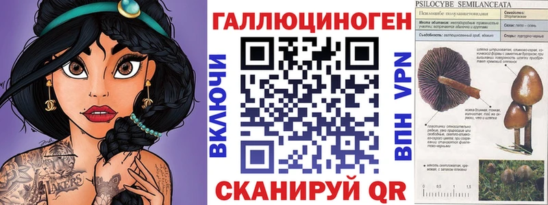 Псилоцибиновые грибы Psilocybe Шелехов